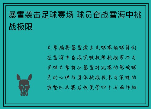 暴雪袭击足球赛场 球员奋战雪海中挑战极限