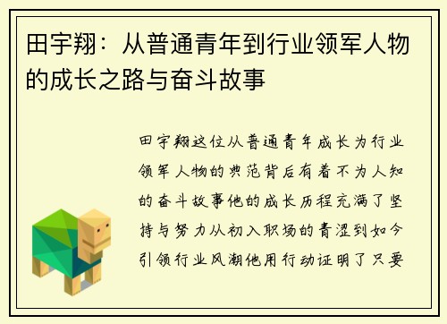 田宇翔：从普通青年到行业领军人物的成长之路与奋斗故事